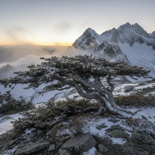 Harbour Whistle 2nd movement 2025