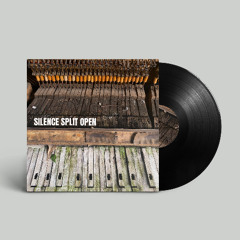 Silence Split Open
