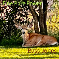 Fine Pure Power
