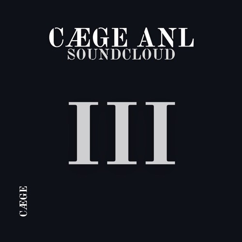 CÆGE ANL 3