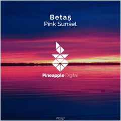 Pink Sunset (Radio Mix) Available 03.8.2021