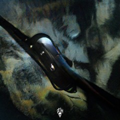 packyourbags w/ bones