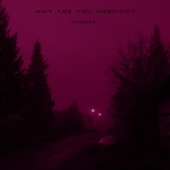 why are you weeping?