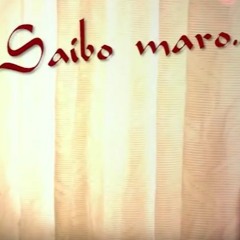 Saibo maro x Saibo( Sachin Jigar ) Remix