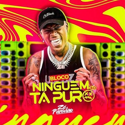 ZÉ PAREDÃO - BLOCO NINGUÉM TÁ PURO 3.0