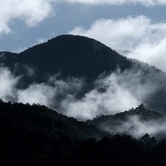 Har Khata Pai Sharamsar Hoon Main