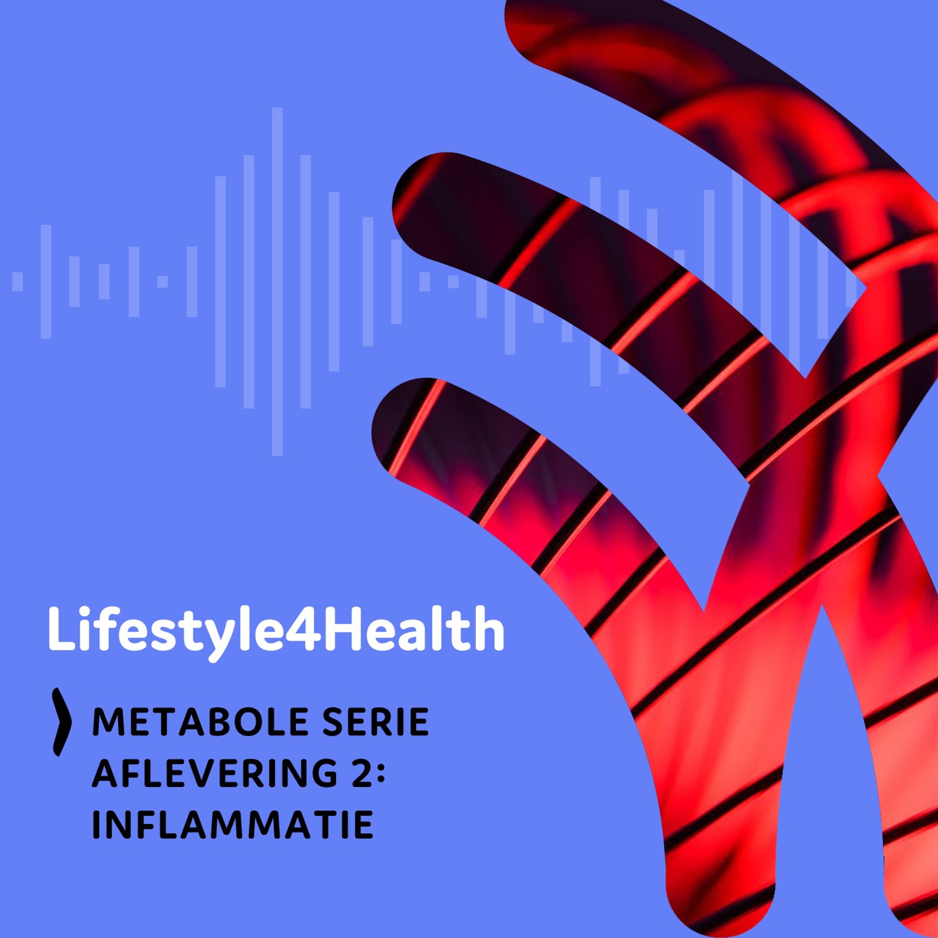 #016 Inflammatie