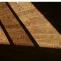 Cover Of Holly Humberstone's Falling Asleep At The Wheel