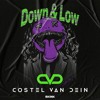 Costel Van Dein - Down & Lown