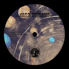PREMIERE: Juan Peinado - A Dream Of Another Life [MELATUNE005]
