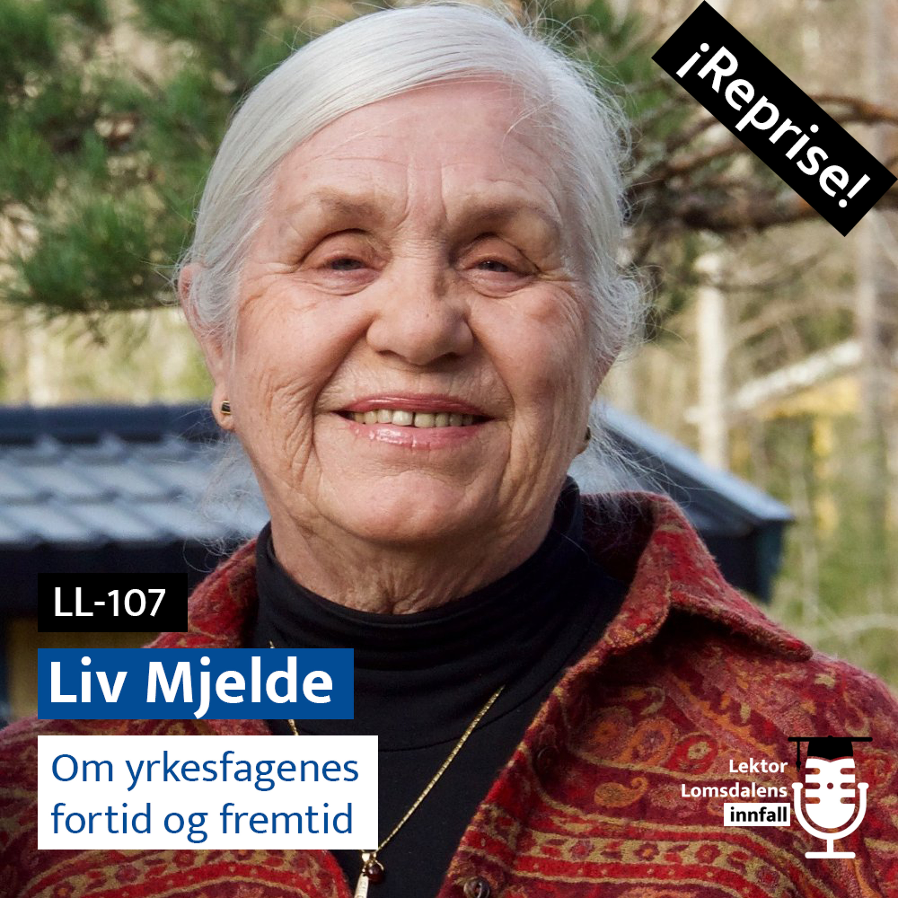 Lektor Lomsdalens innfall