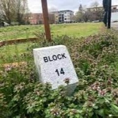 Block 14