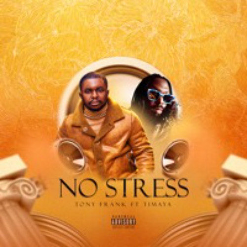 Tony Frank & Timaya - No Stress