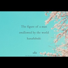 A man swallowed [Naviarhaiku 546]
