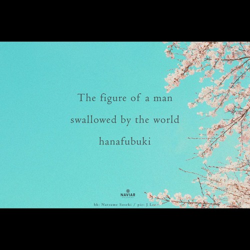 A man swallowed [Naviarhaiku 546]
