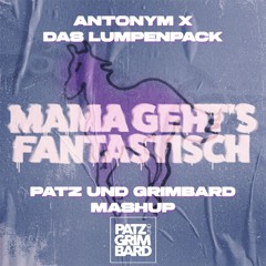 BASS GO X MAMA GEHT`S FANTASTISCH (PATZ UND GRIMBARD MASHUP)