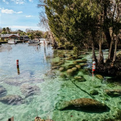 Best Things To Do In Crystal Springs Florida Tours Reviews