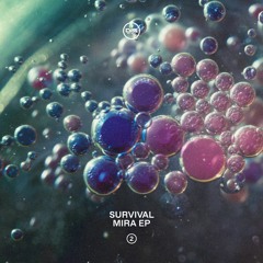 Survival - Up In The Dance