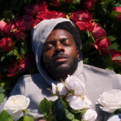 Stuck In The Roses