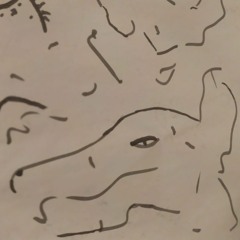 Rat