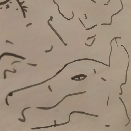 Rat