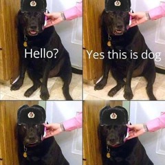 Ro - Doggo Acid90