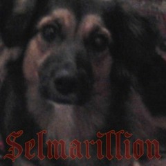 Pulitur Feat Selmarillion - Hunting Is Meditation