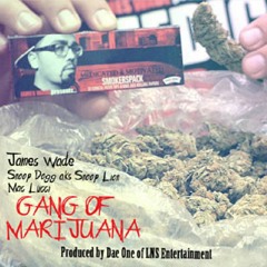 James Wade Ft. Snoop Lion - Gang Of Marijuana (DJ Go Glow Official Radio Edit)