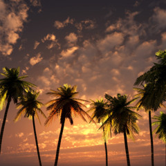 Paradise