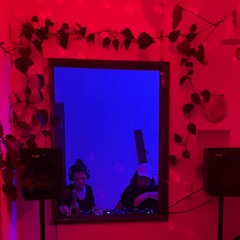 Im Dach der Pracht zwischen Küche und Flur.