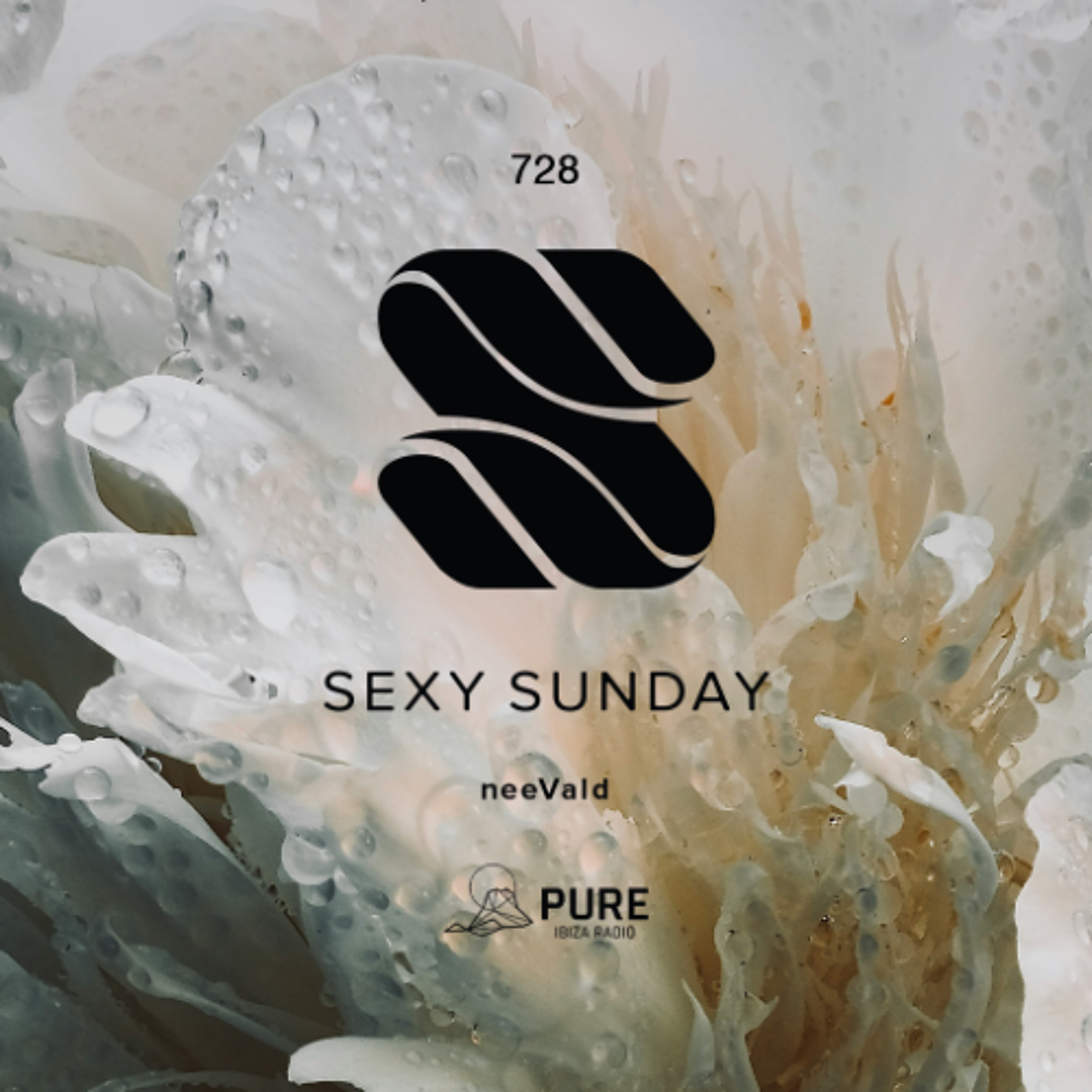 Sexy Sunday Radio Show 728 - PURE IBIZA RADIO episode artwork