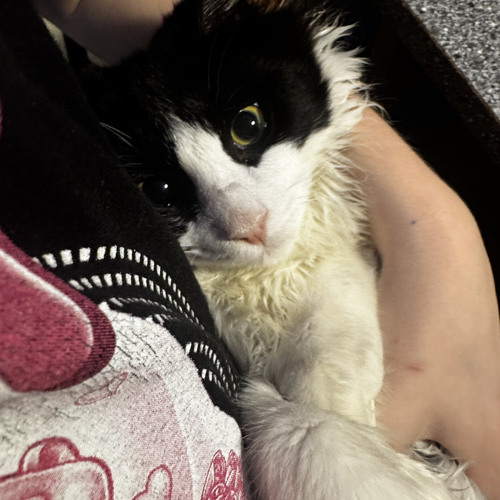 huzzy b – trvphouse(speed up/nightcore)