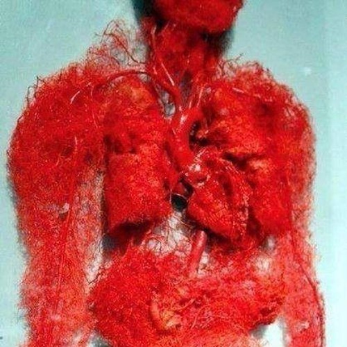 dark plugg beat prod. піtunchikk16