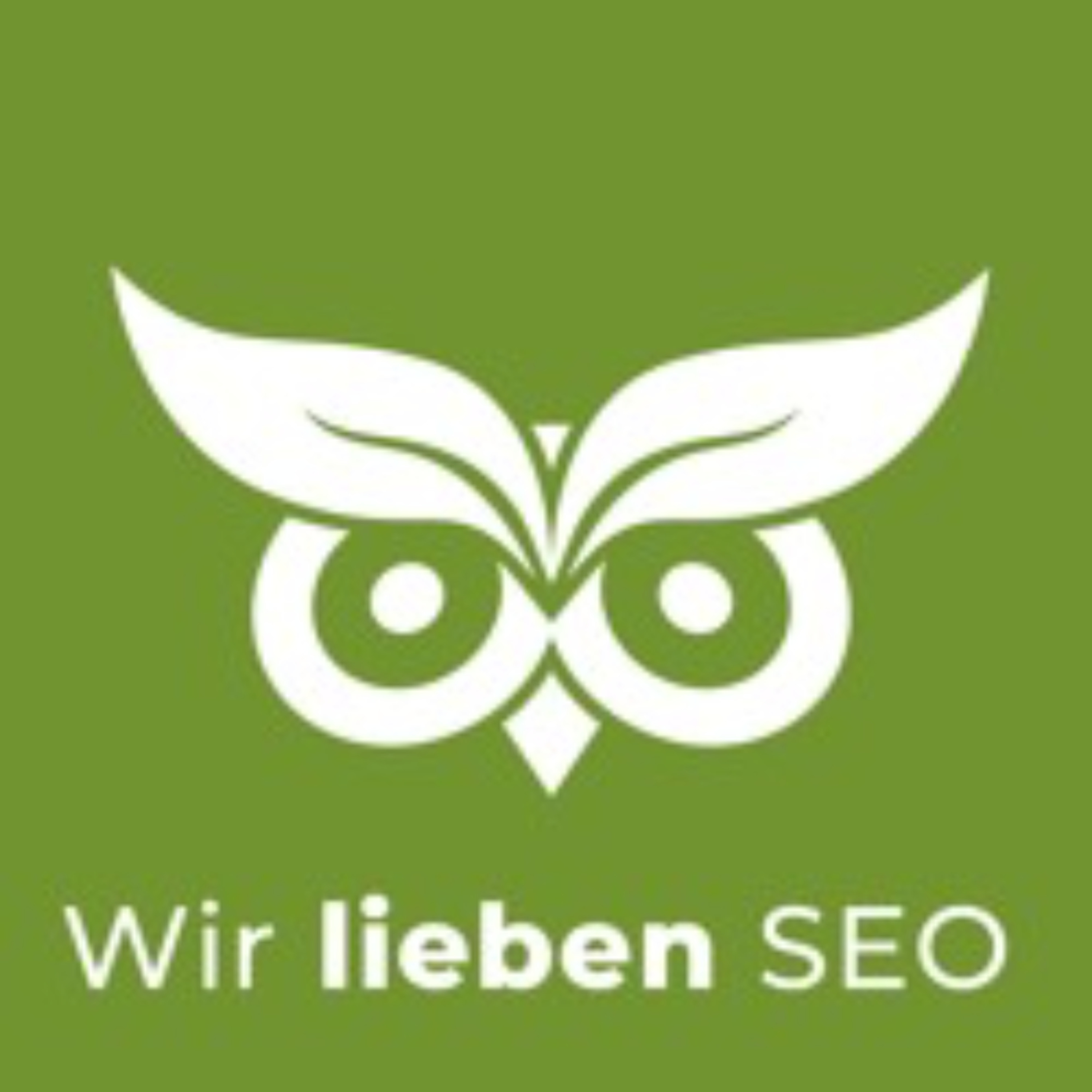Darum ENDEN 60% der Searches ohne Klick!