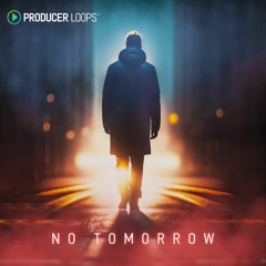 Producer Loops - No Tomorrow