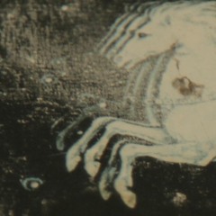 mpala garoo - infinite journeys