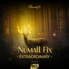 Numall Fix - Extraordinary (Original Mix)(Royalty Free Music)