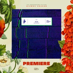 PREMIERE: Ed Dix - Halusinasi (Stevie R & Parisinos Remix) [Playground Records]