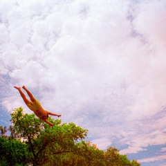 Heart to Gold - Mother Falcon