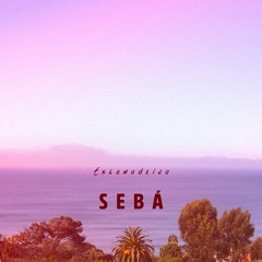 Sebá - Engomadeira (Brasil-Lounge)
