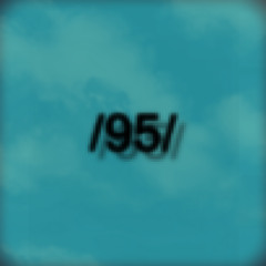 /95/