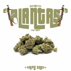 Triple Thug - Plantas ft. Robozin, Mxrciiin e Waw (prod. Flores)℗