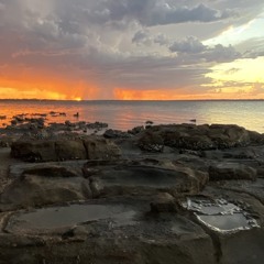 blooming reef