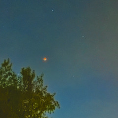 Maybe Tomorrow (Brian Jonestown Massacre cover)