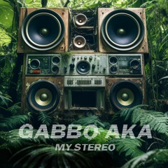 Gabbo AKA - My Stereo