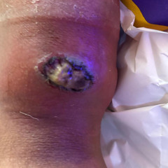 Proverbs 3-5 NIV - 2024 Remake