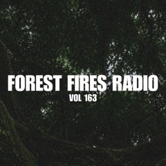 VOL 163 - RHEZ