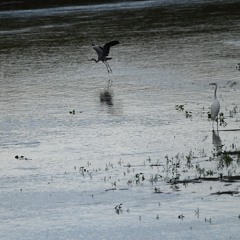 58.4 Reverse, Piano, Improvisation 20251207-4