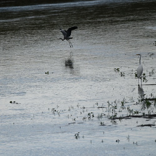 58.4 Reverse, Piano, Improvisation 20251207-4