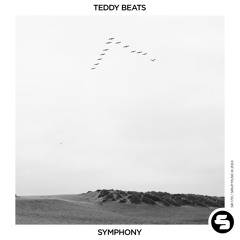Teddy Beats - Symphony